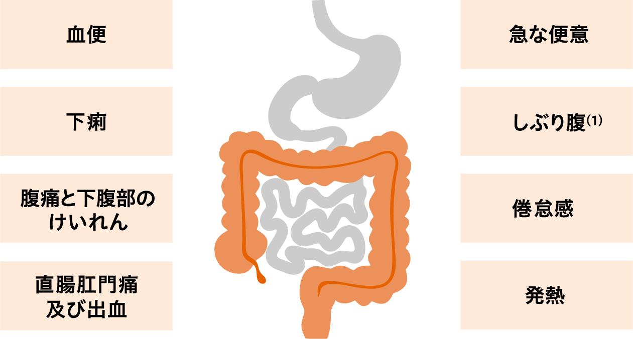 図：潰瘍性大腸炎の症状